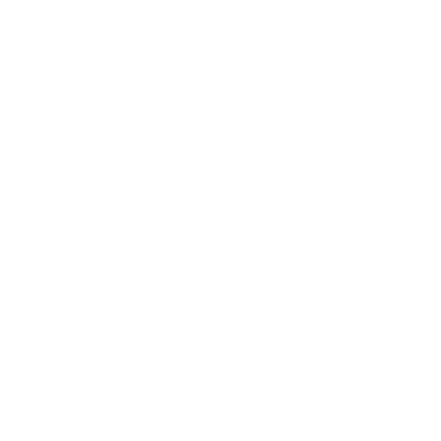Visser-Assen-logo